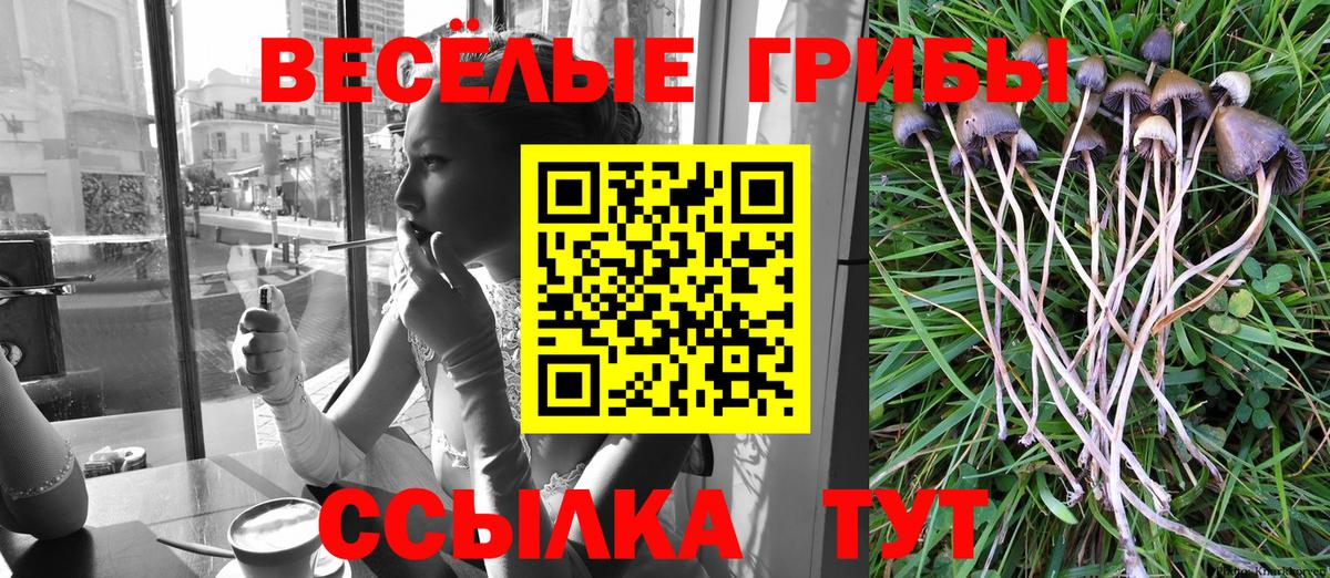 Приморско-Ахтарск  Псилоцибиновые грибы GOLDEN TEACHER  Вход с VPN 